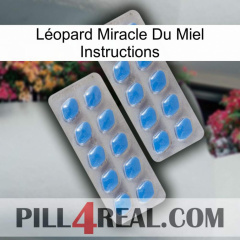 Léopard Miracle Du Miel Instructions 23